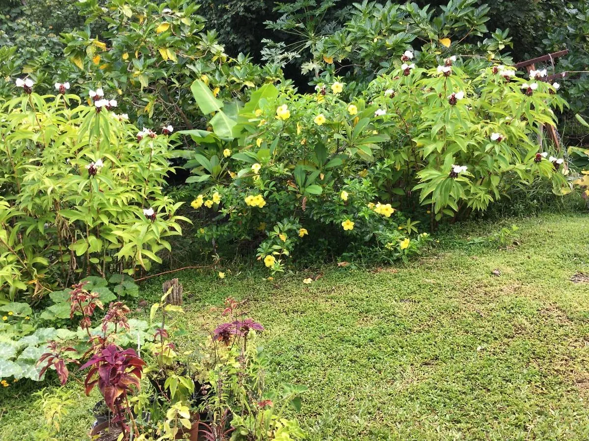 Homestay Pension Te Aroha - Te Haumaru Maatea